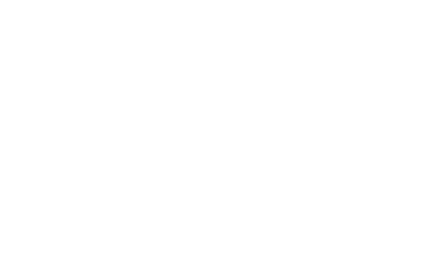 Bolivar Logo Blanco